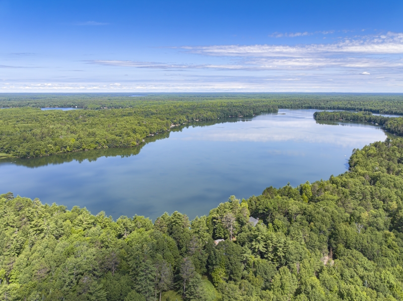 Horsehead Lake Cabins